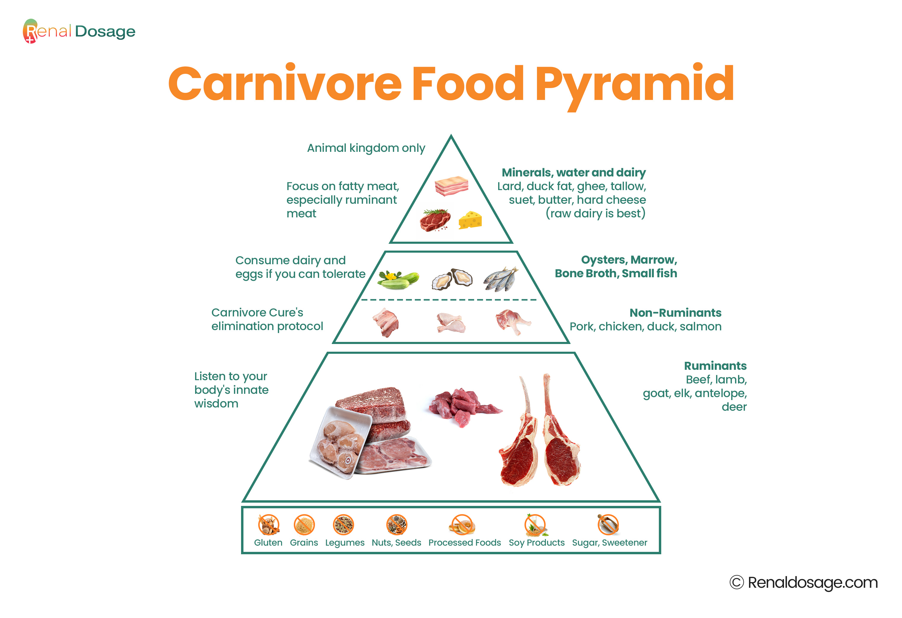 carnivore diet pyramid 